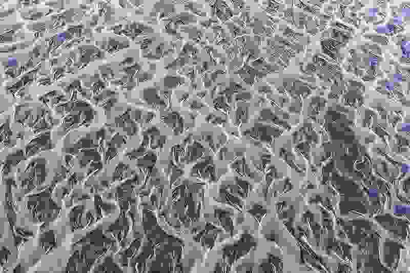 iceland-braided-river-39.jpg