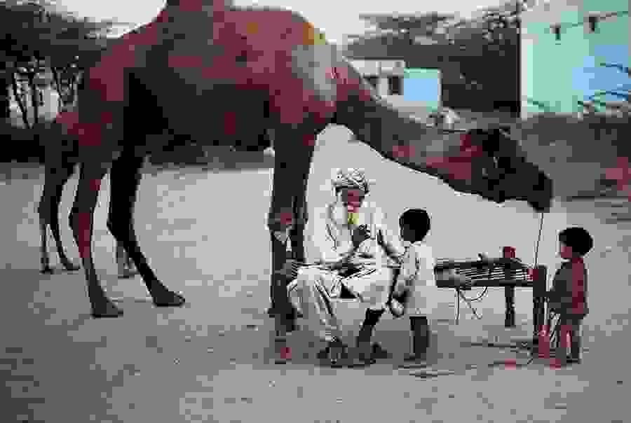 india-10211.jpg