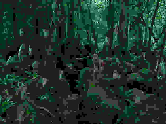istories-paidion-pou-ezisan-san-agria-zoa-13.jpg