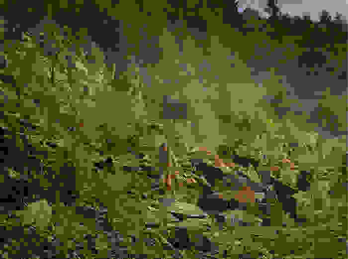 istories-paidion-pou-ezisan-san-agria-zoa-14.jpg