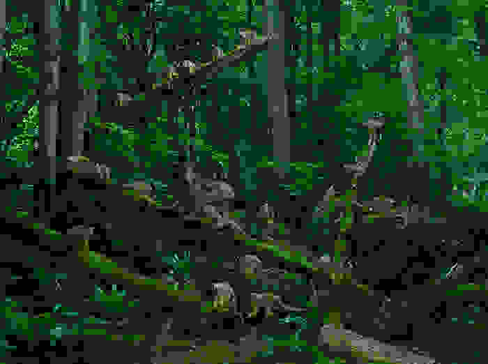 istories-paidion-pou-ezisan-san-agria-zoa-5.jpg