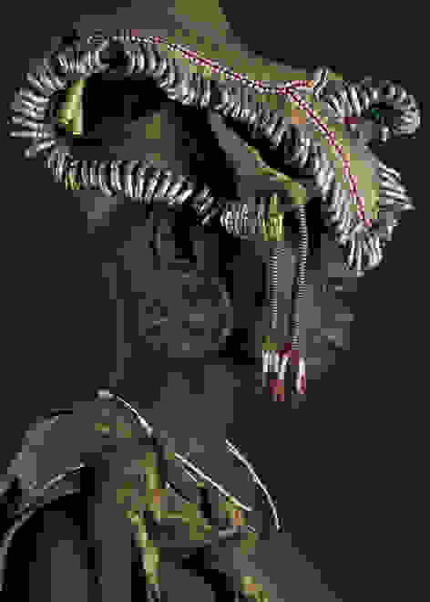 jaime.jpg