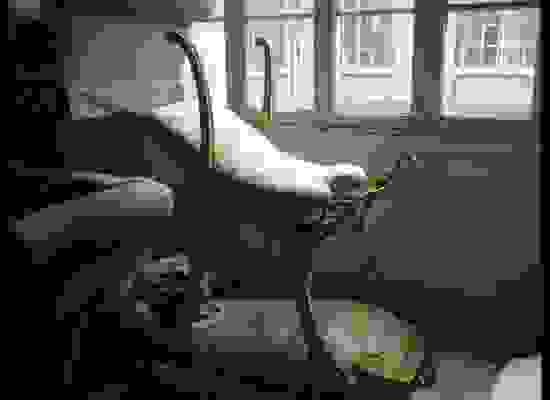 karekla-sex.jpg