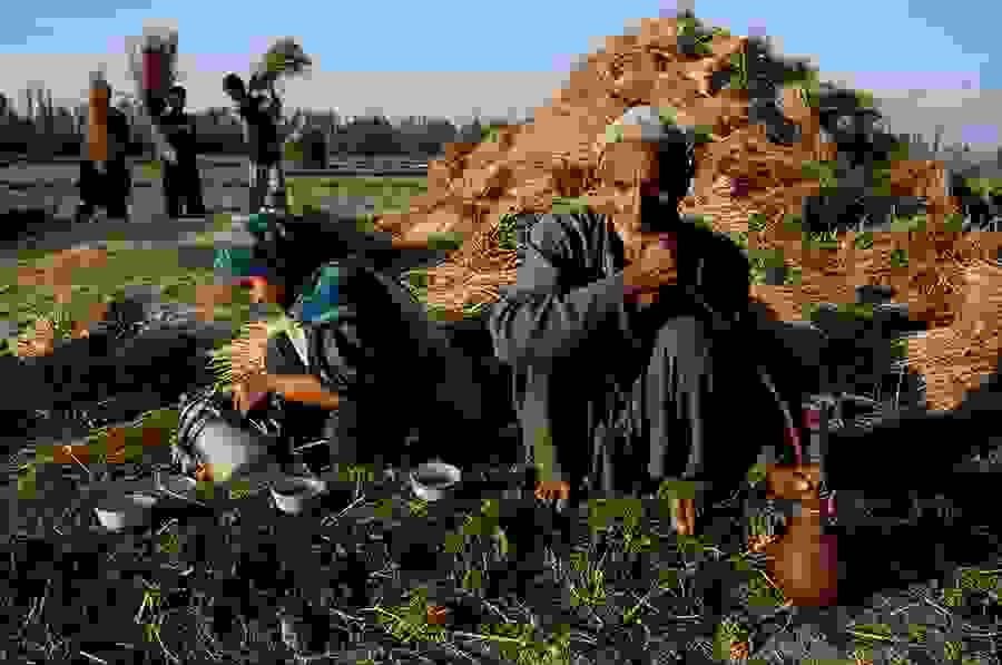 kashmir-10060nf.jpg