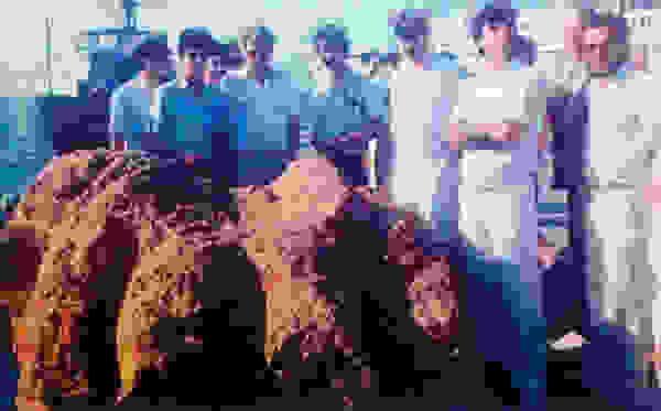 kolosos1.jpg