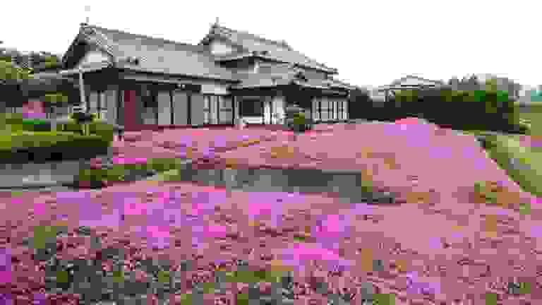 kuroki-02.jpg