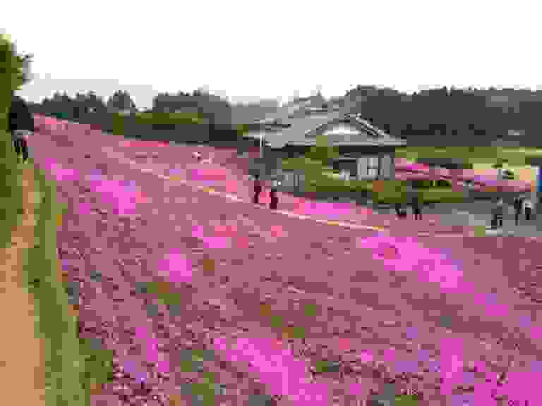 kuroki-06.jpg