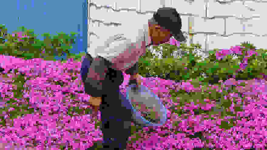 kuroki-1.jpg