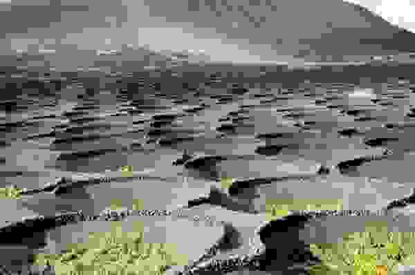 la-geria-01.jpg