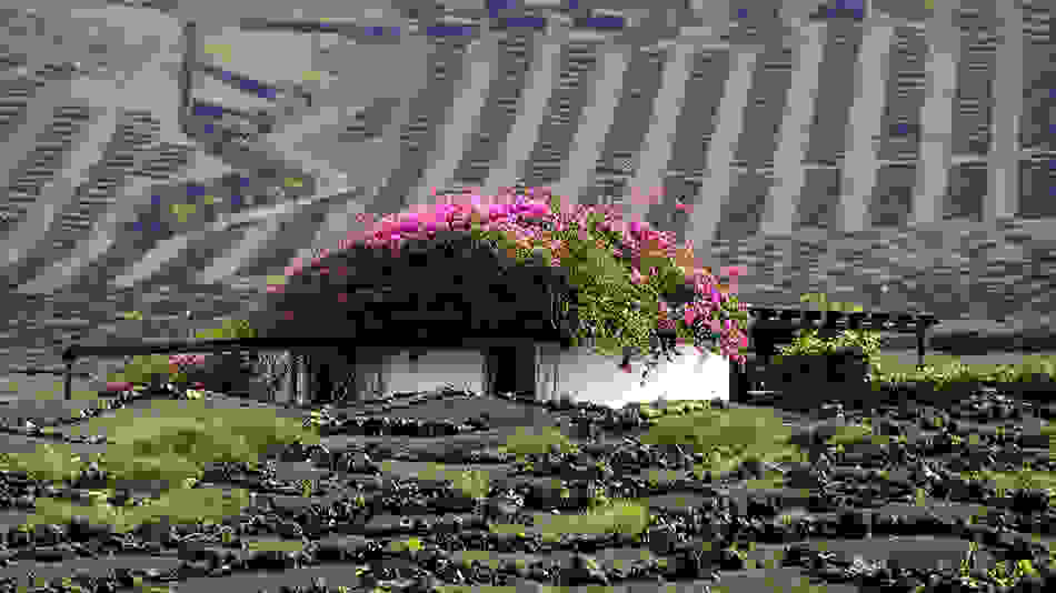 la-geria-1.jpg