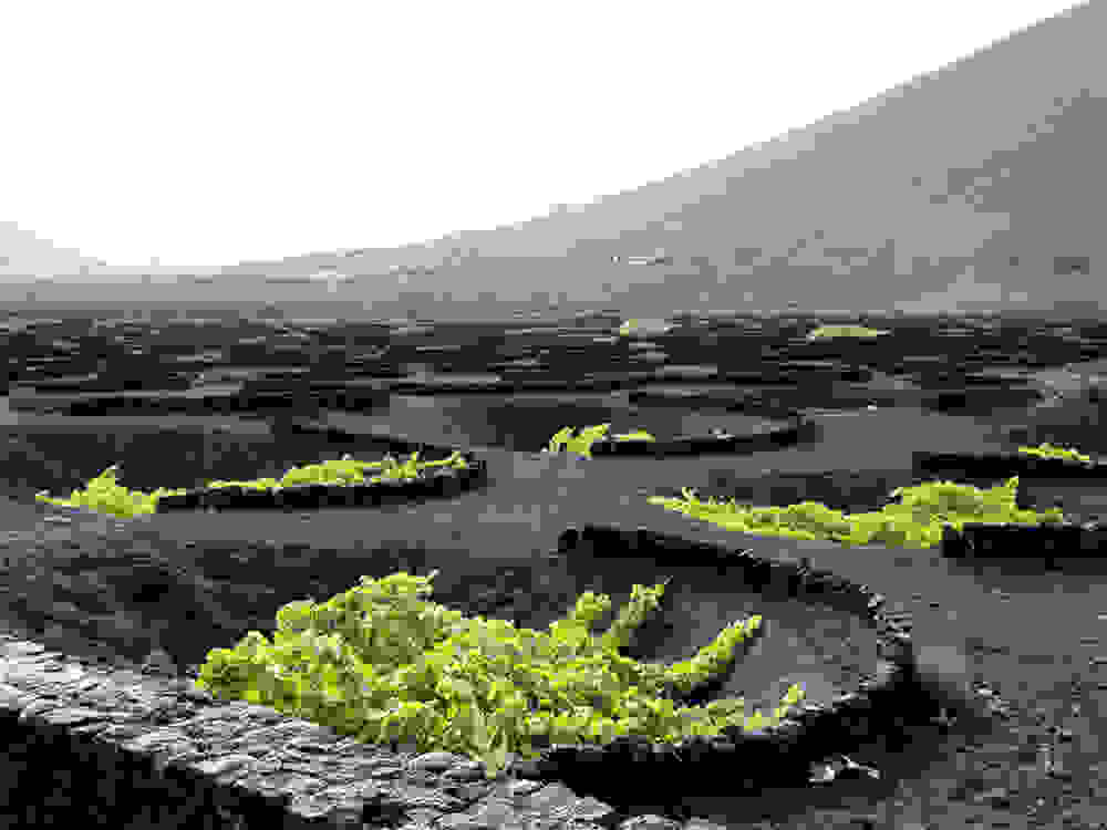 la-geria-5.jpg