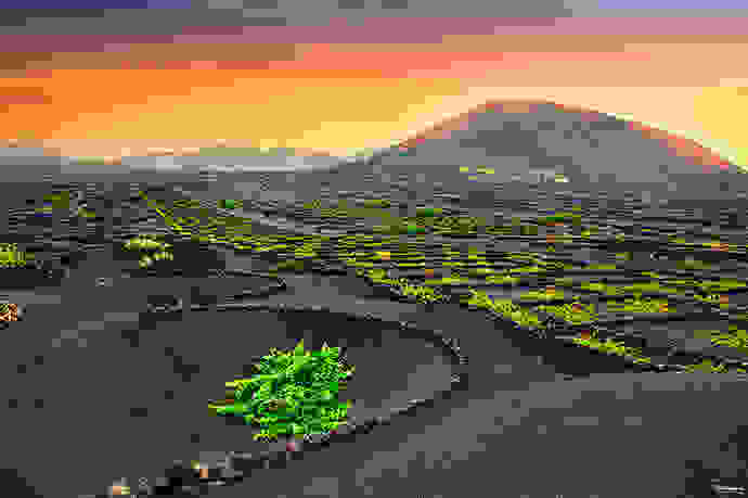 la-geria-vineyards-lanzarote-3.jpg