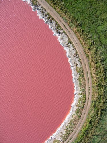 lac-rose-8.jpeg