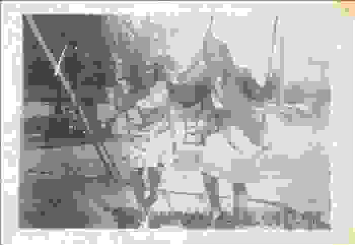 lampeti-1.jpg