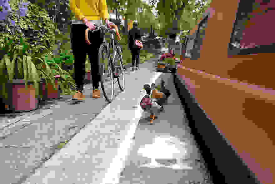 lane-duck-path-london-sharethespace-10.jpg