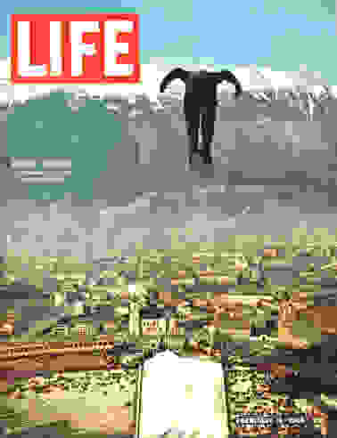 li1