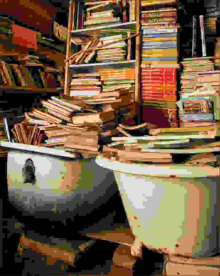libreria-acqua-alta-laura-bergman.jpg