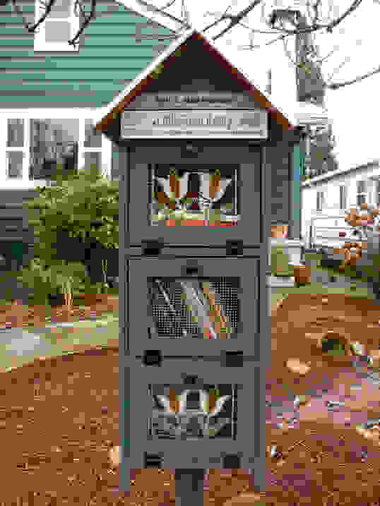 little-free-library-141.jpg