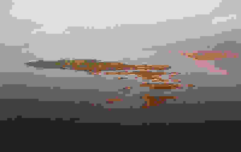 lixadonisia-002.jpg