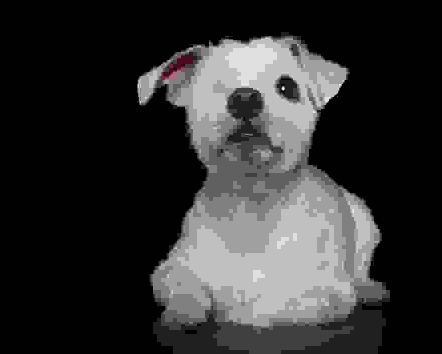 louie-i-teleiotita-ton-ateleion-.jpg