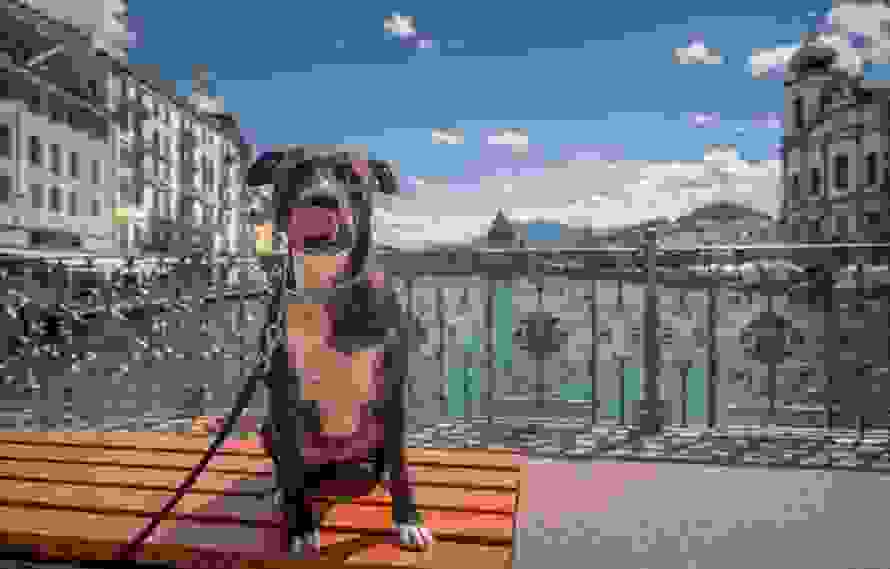 lucerneswitzerland.jpg