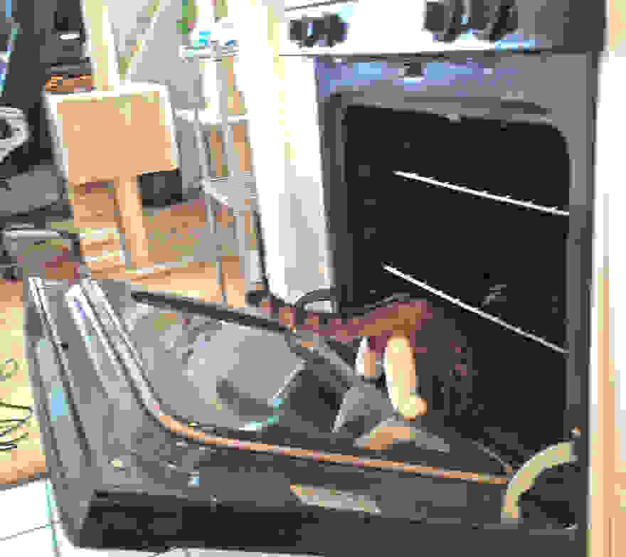 luna_goes_in_oven__880.jpg