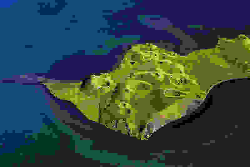 mageia-iceland03.jpg