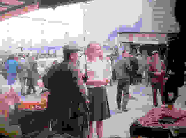 magicbus13.jpg