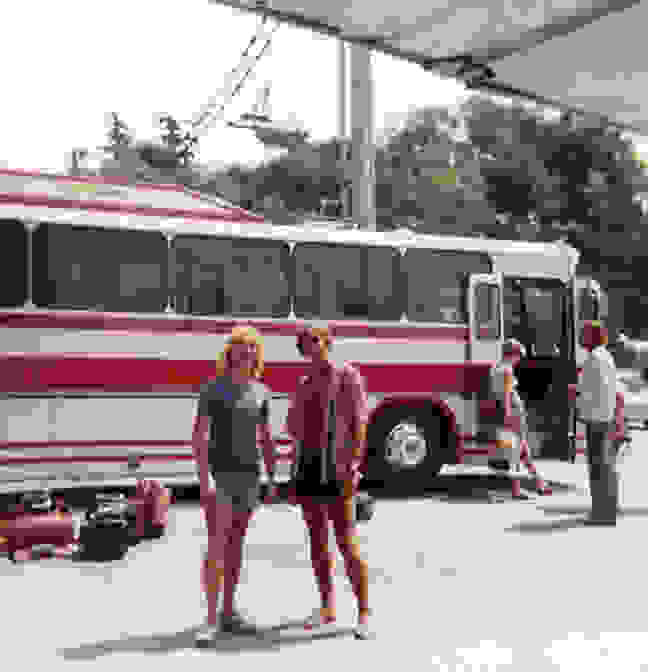 magicbus6.jpg
