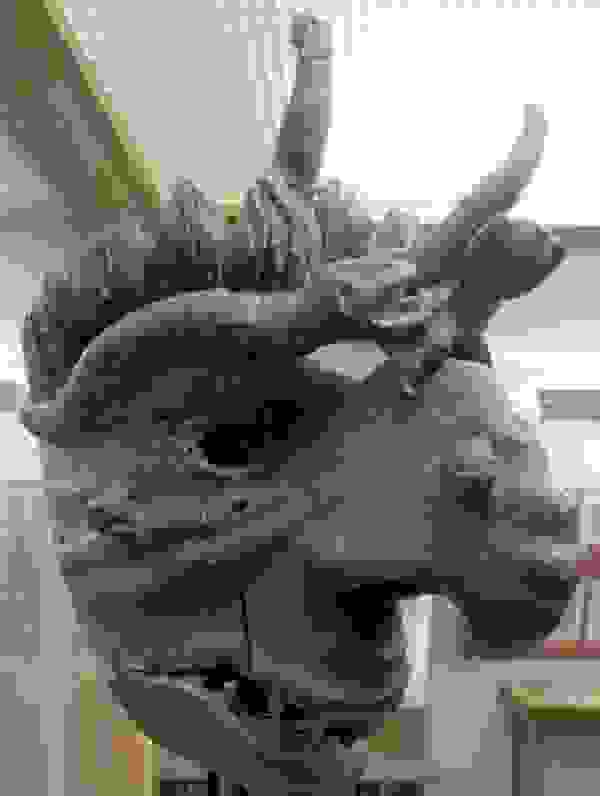mask-of-shame-Schandmaske-7.jpg