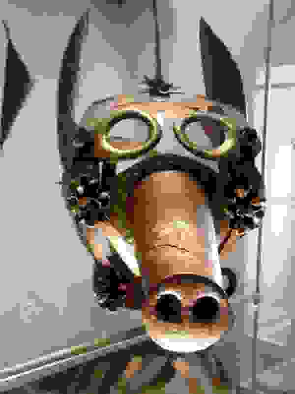 mask-of-shame-Schandmaske-9.jpg