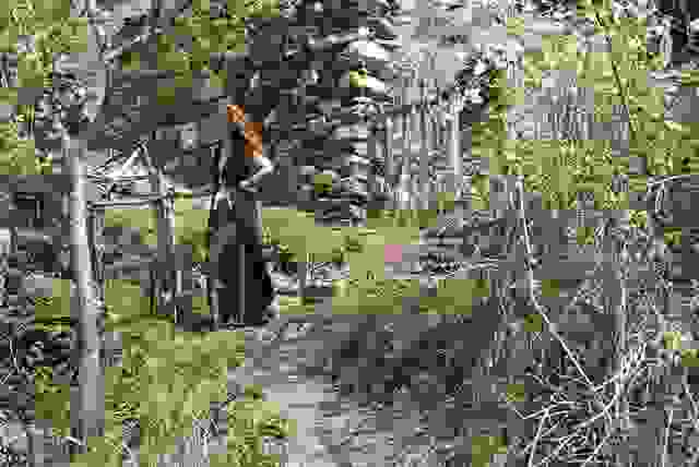 matanevero59.jpg