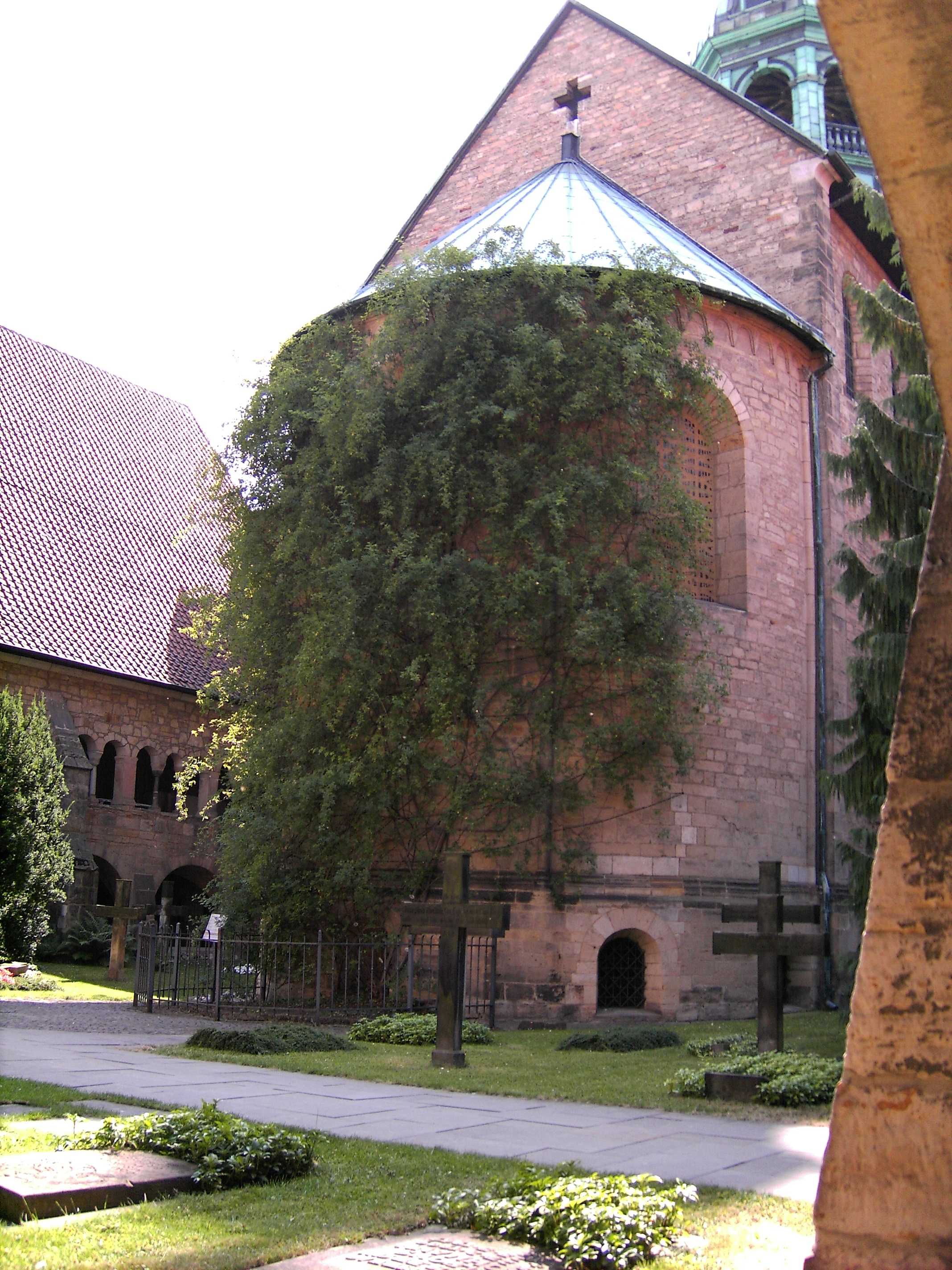 mia-triantafyllia-1-000-eton01.JPG