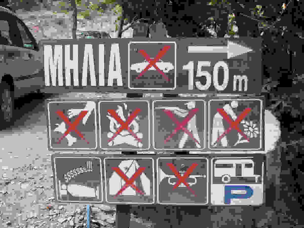 milia2.jpg