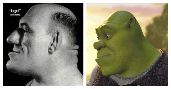 1-maurice-tillet-shrek-profile