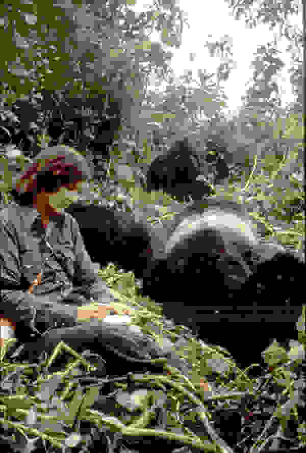 7213088574 2c66854503 b