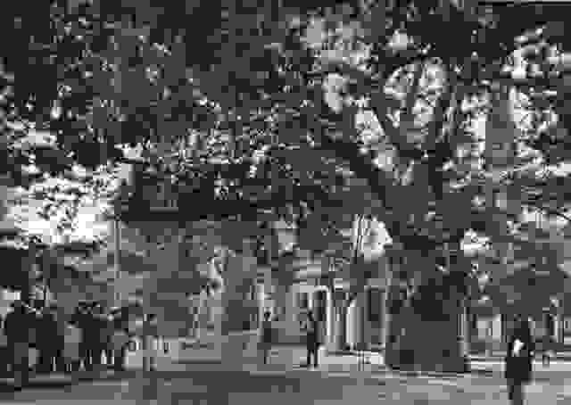 Greece from 1903-1930 17