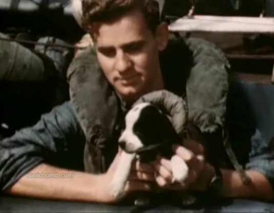 animal-soldier2