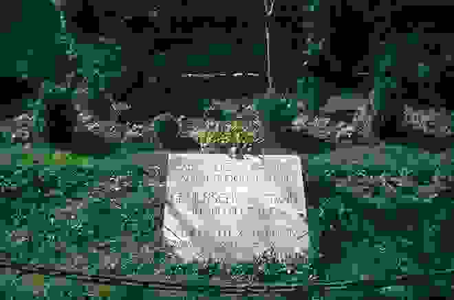 dachau5
