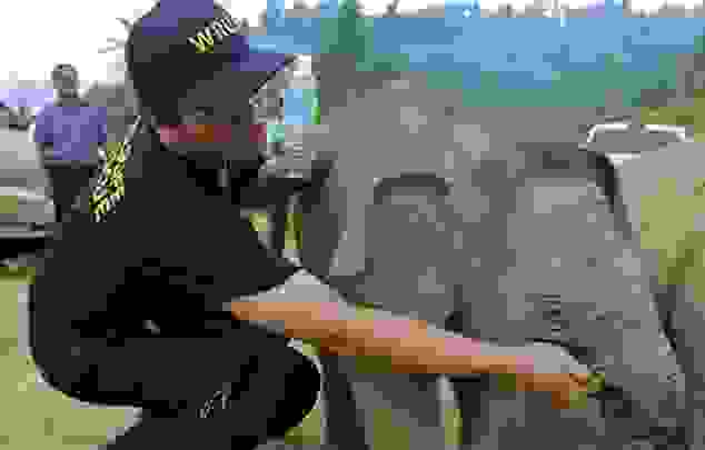 ele2