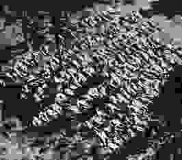 katyn111