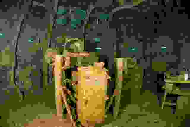 nik1