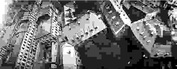 pigeonphoto4