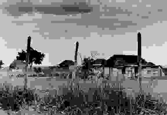 tse11