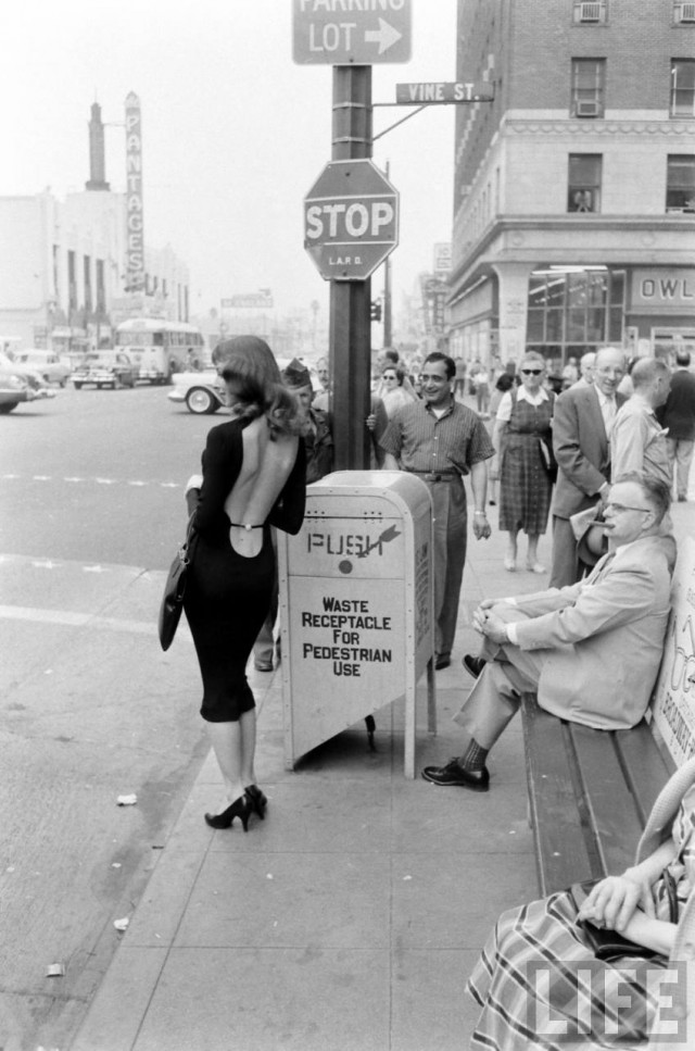 vikkidouganbus