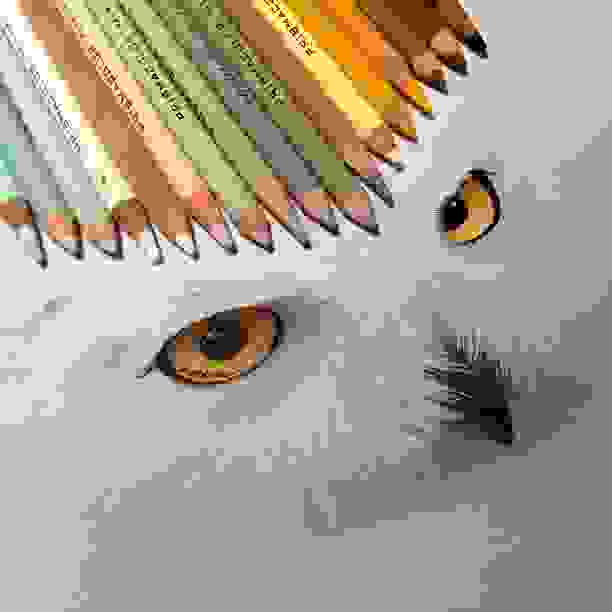 mixed-media-drawings-hyperrealism-karla-mialynne-18.jpg
