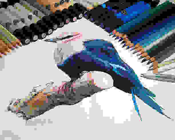 mixed-media-drawings-hyperrealism-karla-mialynne-22.jpg