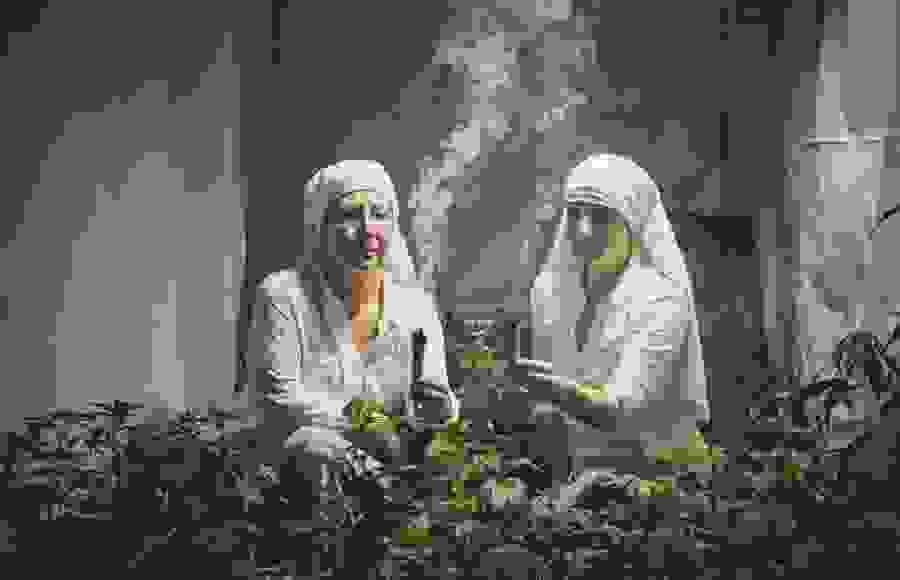 monaxes00.jpg