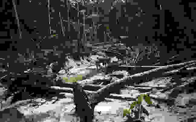natives8
