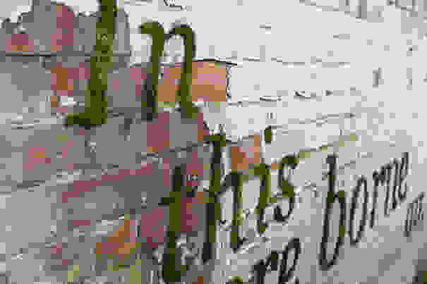 moss-graffiti-3.jpg